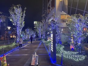 14th 六本の煌めきイルミネーションのサムネイル