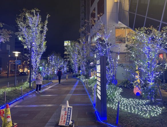 14th 六本の煌めきイルミネーションのサムネイル